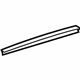 Toyota 63217-06170 Side Molding, Passenger Side