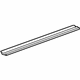 Toyota 68171-52060 Belt Weatherstrip, Inner Passenger Side
