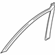 Toyota 75921-12032 Black Out Tape, Passenger Side