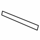 Toyota 75977-06010 Stripe, Lower Passenger Side