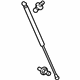 Toyota 53440-69145 Lift Cylinder, Passenger Side