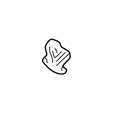 Toyota 74348-04030-C1 Sunvisor Holder