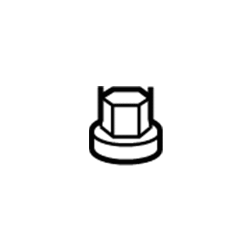 Scion 90189-06066 Lower Molding Nut