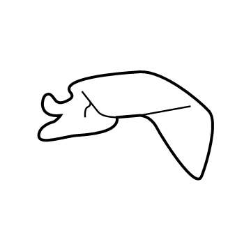 Toyota 17273-70011 Insulator