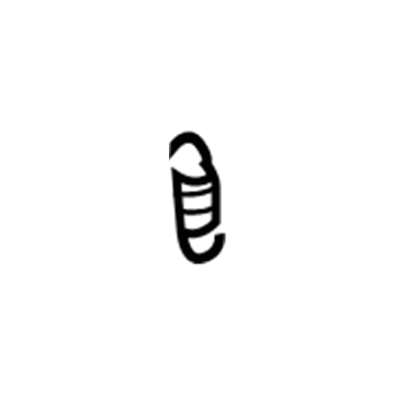 Scion 90506-12063 Lock Spring