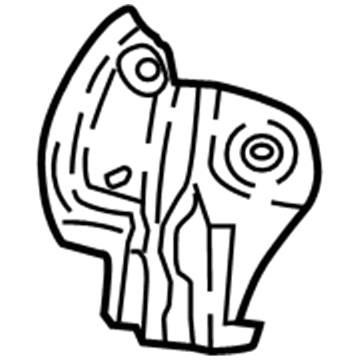 Toyota 67894-10010 Protector