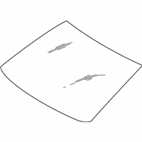 Scion xA Windshield - 56101-52191 Windshield, Front