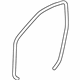 Toyota 62311-06080-B1 Weatherstrip On Body, Gray, Passenger Side