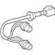 Toyota 81555-08020 Socket & Wire, Rear