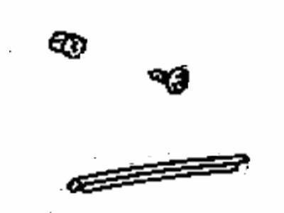 Toyota 75075-07011 Window Molding, Outside Passenger Side
