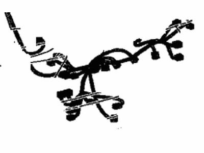 Toyota 82184-42M21 Wire,  Back Door,  NO.1