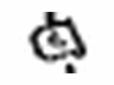Toyota 64819-42050 Spacer, Back Window Glass