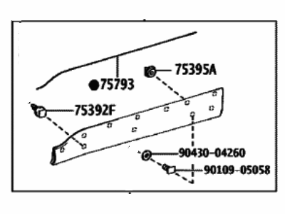 Toyota 75074-0A040 Moulding Sub-Assy,  Front Door,  Outside Lower LH