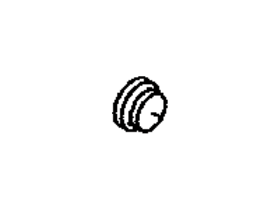 Scion SU003-00105 Plug(For Cylinder Block Blind)