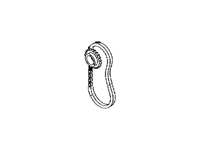 Scion Timing Chain - 13507-WB001