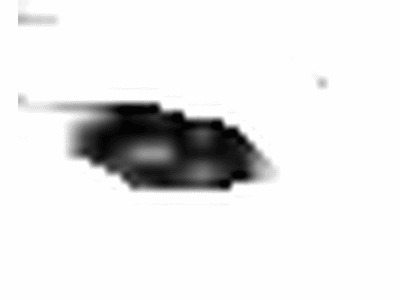 Toyota 75611-14150-02 Side Molding