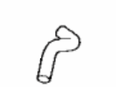 Toyota 77759-12110 Hose, Charcoal Canister 77759-12110 Toyota Hose, Charcoal Canister Illustration 1 of 1
