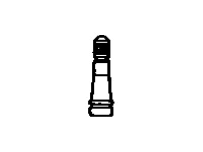 Scion 90942-05009 Valve (For Tubeless Tire Spare)