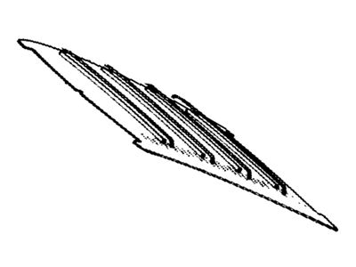 Toyota 63310-12163-04 Headlining Assembly, Roof