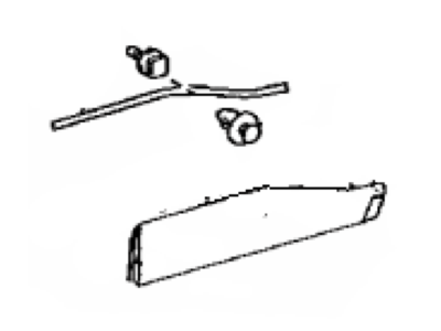Toyota 75078-42050-C0 Moulding Sub-Assy,  Rear Door Outside Lower LH