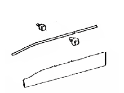 Toyota 75074-42050-C0 Moulding Sub-Assy,  Front Door,  Outside Lower LH