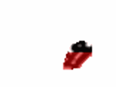 Toyota 75652-16351 Body Side Molding