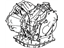 Toyota 30500-17080 Transaxle Assembly, Automatic