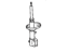 Toyota 48540-12490 Strut, Rear Driver Side