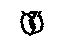Toyota 90466-W0007 Clip(For Water By-Pass Hose)