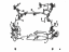 Toyota 82114-42331 Wire Harness