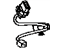 Toyota 81555-33520 Socket & Wire, Passenger Side