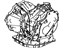 Toyota 30500-42020 Transaxle Assembly, Automatic