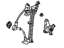 Toyota 69810-20340 Window Regulator, Passenger Side