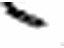 Toyota 76874-42020 Protector, Rear Spoiler