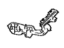 Toyota 52156-42060 Side Retainer, Driver Side