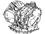 Toyota 30500-20750 Transaxle Assembly, Automatic