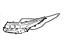 Toyota 81132-48C30 Gasket, Headlamp Lens