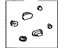 Toyota 04949-74010 Plug Kit, Rear Brake