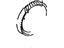 Toyota 41221-10181 Gear, Front Differential Ring