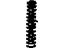 Toyota 90501-16026 Spring, Compression(For Oil Filter)