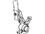 Toyota 43212-32030 Knuckle, Steering, Driver Side