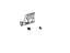 Toyota 76974-06010-C0 Cover, Rear Under Side, Driver Side