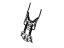 Toyota 71053-47050 Spring, Front
