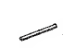Toyota 53361-42020 Weatherstrip, Hood