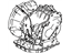 Toyota 30500-16370 Transaxle Assembly, Automatic