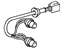 Toyota 81555-08010 Socket & Wire, Rear