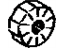 Toyota 44313-06010 Rotor, Vane Pump