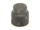Scion A/C Service Cap