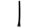 Scion Antenna Mast