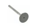 Scion Exhaust Valve